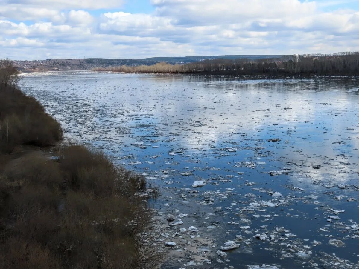 Половодье реки Томи. Томь весной. Половодье на небольших речках. Казанка р. Томь. Река искитимка в сибири