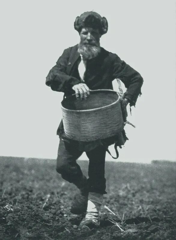 Сеем старый. Посев зерна в старину. Расстил льна. Что посеешь то и пожнешь иллюстрация. Обряд посевание.