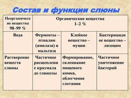 1 фермент слюны