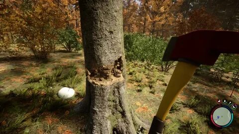 Well the forest