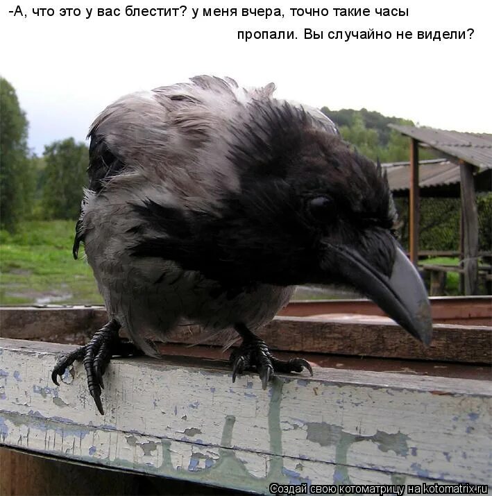 точнее вчера