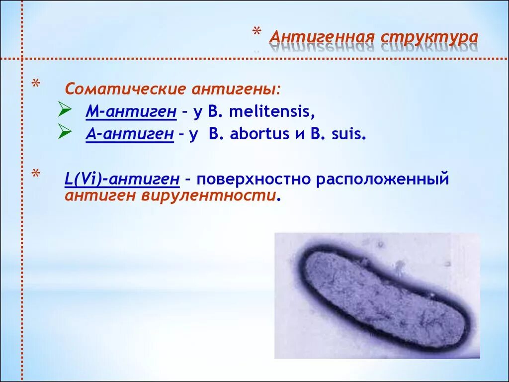 Возбудитель скарлатины является. Коринебактерии дифтерии антигенная структура. Антигенная структура. Антигенная структура дифтерии. Скарлатина антигенная структура.