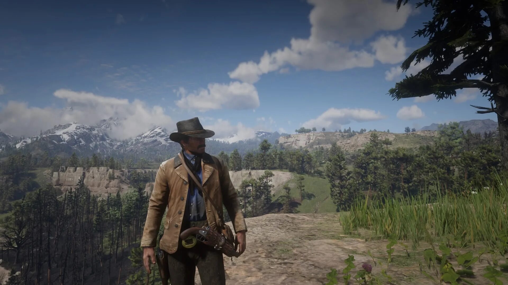 Red dead 2 на пк. Рдр 2. деад редемптион 2. red dead redemption 2 магазины. rdr 2010.