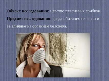 Среда исследования