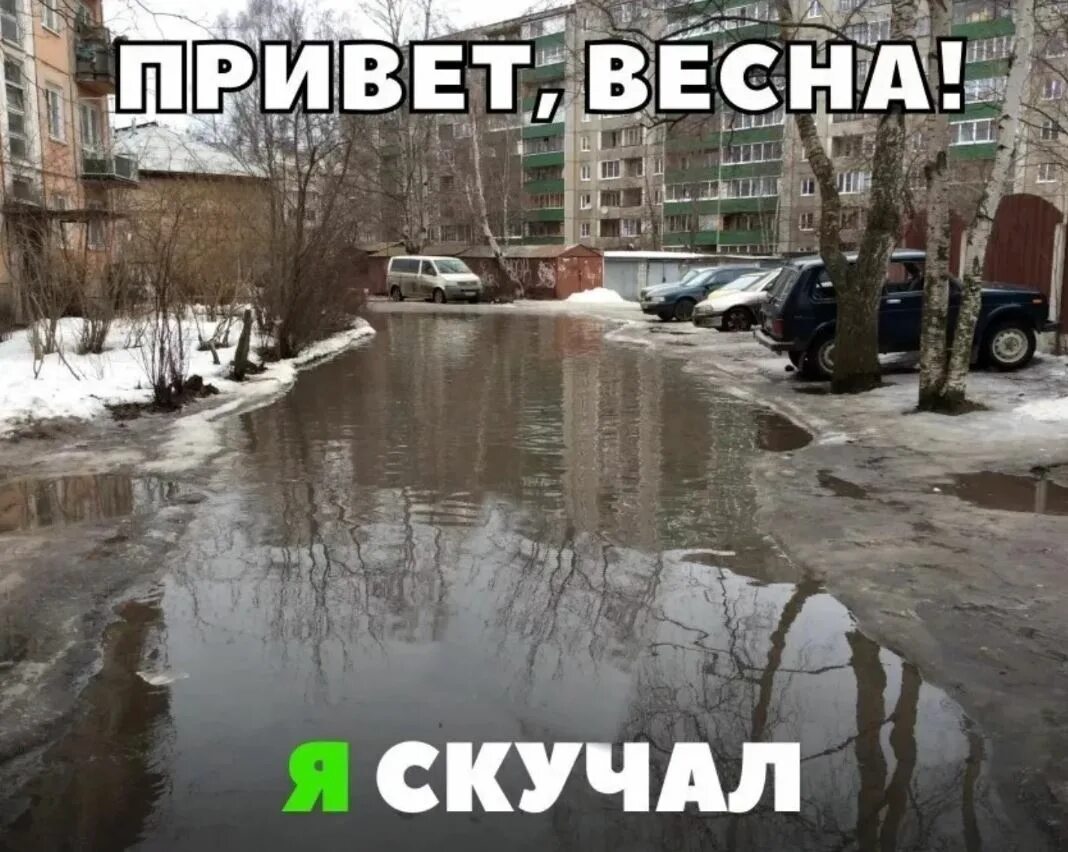 Привет меня сегодня не будет. Приколы про весну.