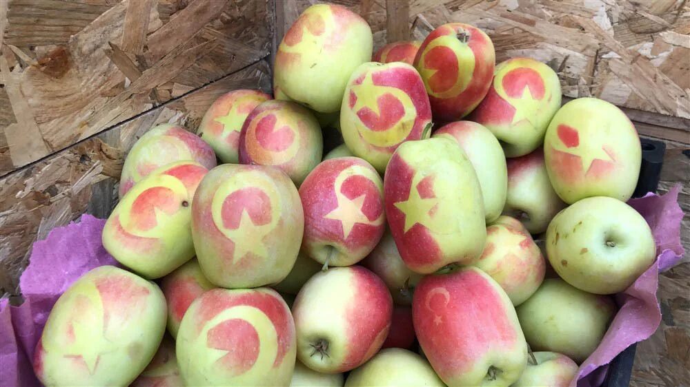 Apple turkey. Почему в Турции не выращивают яблоки.