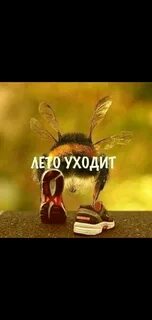 Лето не уходи караоке