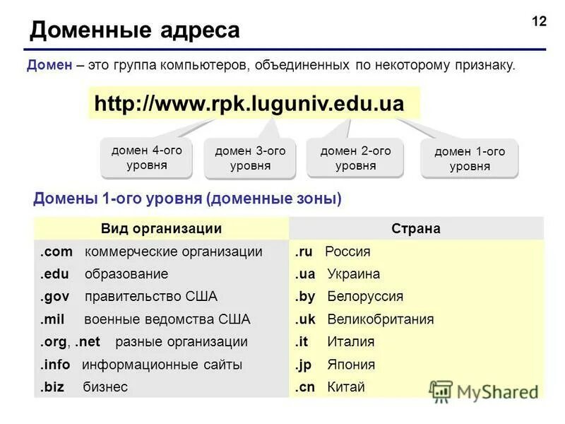 Как узнать доменный адрес. Как узнать доменный адрес