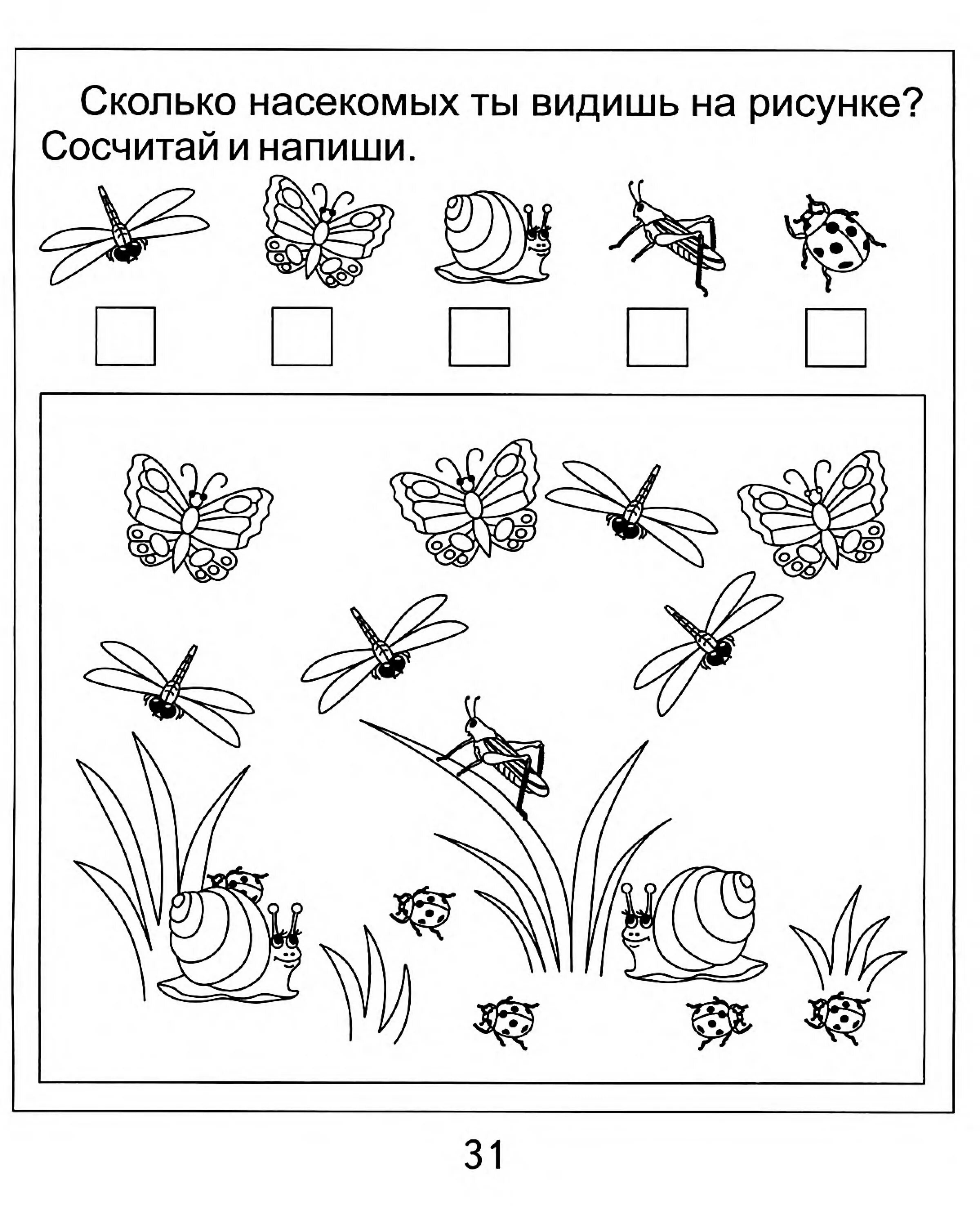 Насекомые задания для дошкольников 5 лет. Насекомые задания для детей 4-5 лет. Задания на тему насекомые для детей 3-4 лет. Задания на тему насекомые для дошкольников. Насекомые детям 5 6 лет