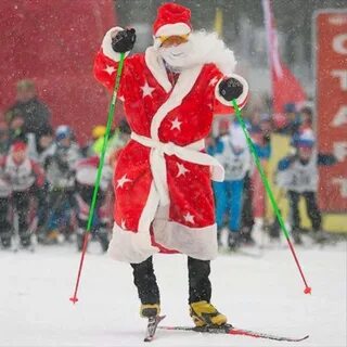 Новогодние березники