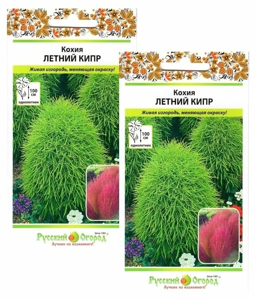 Саженцы кохия Агродекор Green Bush AGRO1517 10 шт. - купить в Москве, цены в инт