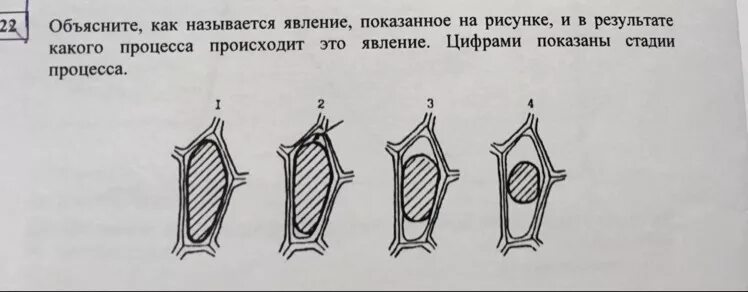 Явление изображенное на рисунке возникает. Картинка, изображенная на рисунке, отображает явление. Укажите явление изображенное на рисунке. Выберите явление изображенное на рисунке. Какое явление продемонстрировано на рисунке?.