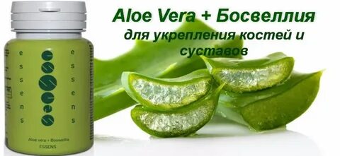 Алоэ для суставов