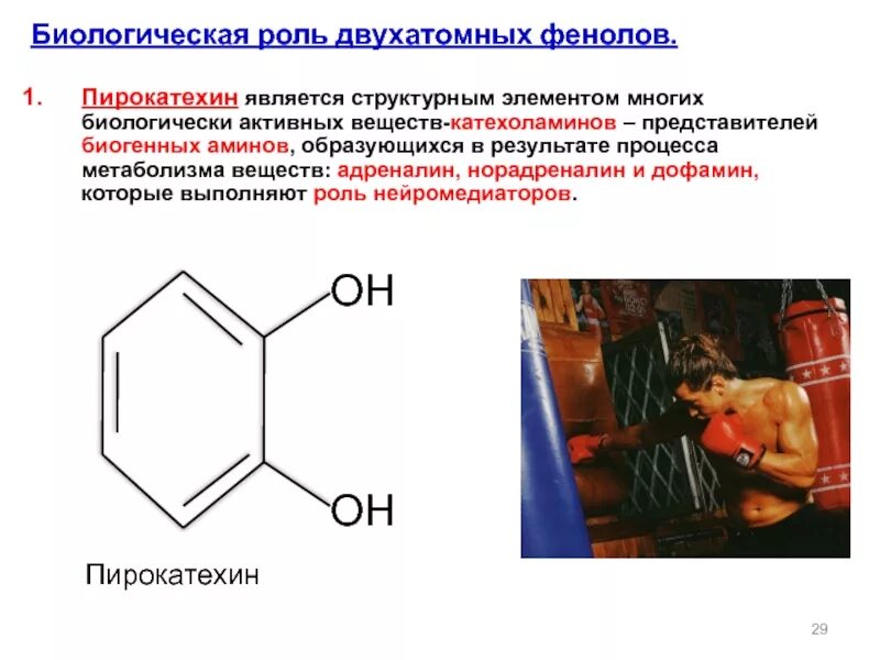 Биологически активные органические соединения. Пирокатехин адреналин норадреналин. Дофамин биороль. Норадреналин биологическая роль. Пирокатехин биороль.