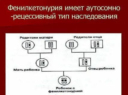Фенилкетонурия наследуется по