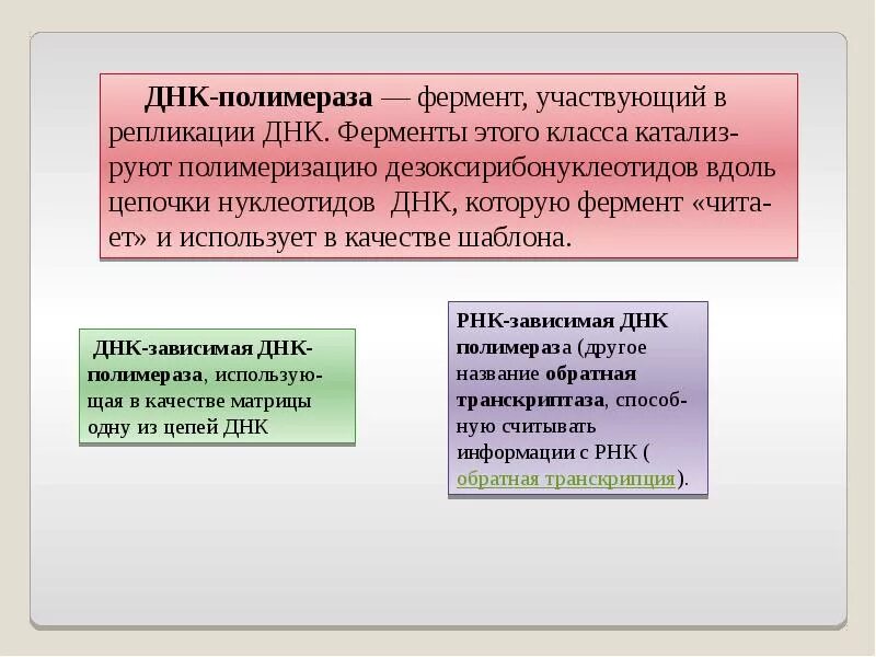 Воздействие фермента днк полимеразы