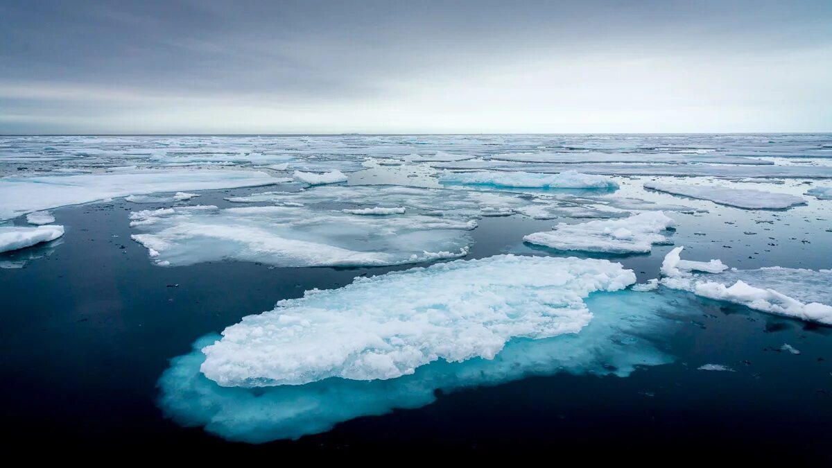 Северный Ледовитый океан паковый лед. Паковые льды Арктики. Чукотка Арктика лед. Полярное море.