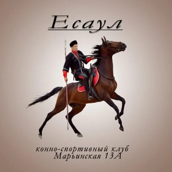 Кск есаул воронеж. Конный клуб есаул. Кск райдер воронеж. Конно-спортивный клуб есаул, воронеж. Кск есаул.