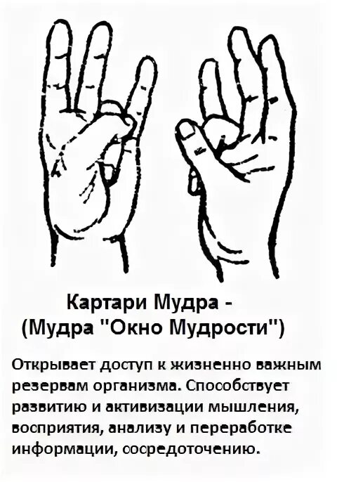 Что значит гни. Мудра окно мудрости. Жест загнут безымянный палец. Мудра большой и безымянный палец. Что означает жест безымянный палец согнут.