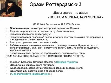 Основные идеи эразма роттердамского
