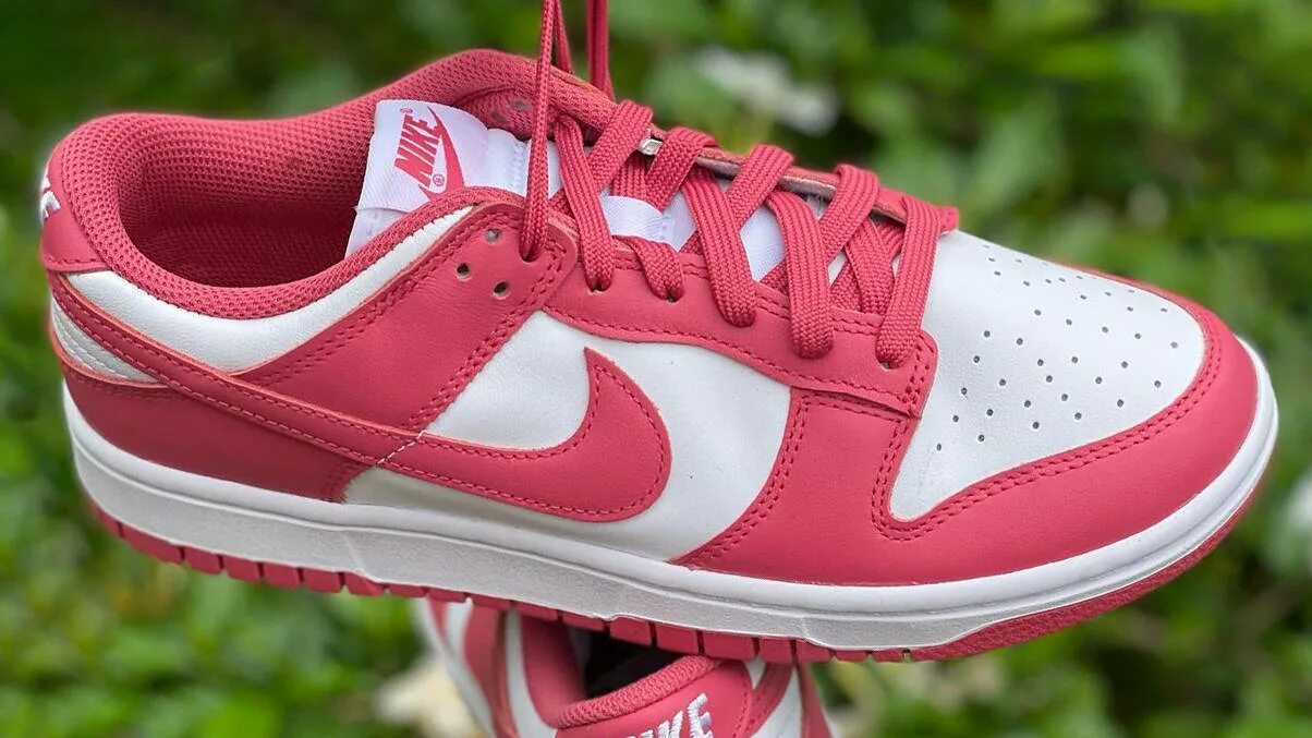 Найк данк розовые. Nike dunk pink. Nike dunk sb low pink white. Nike dunk sb low pink white. Nike dunk archeo pink.