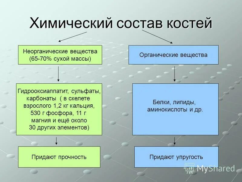 Какое свойство придают костям минеральные вещества. Химический состав костей. Химический составкосткй. Химический состав Косте. Состав костей органические и неорганические вещества.