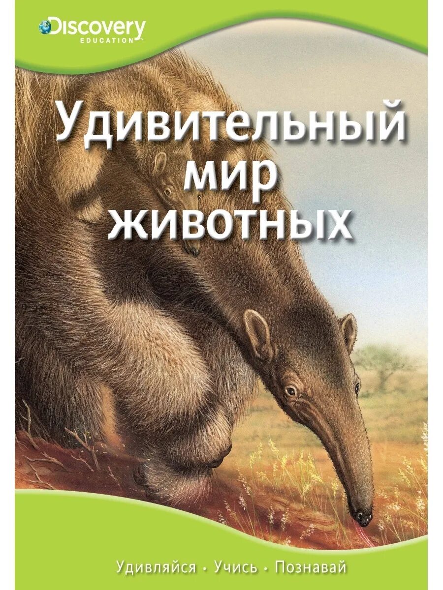 Мир удивительных книг. Книга мир животных. удивительные животные книга. книга в мире животных. дискавери мир животных.