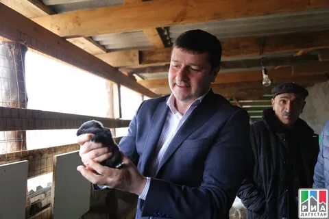 Кфх дагестан