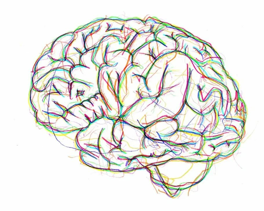 Мозги расслабились. Мозг рисунок. Мозг человека арт.