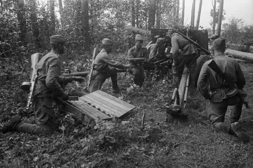 1944 автор. 1944 автор. Армия польши 1944. Освобождение одессы в 1944 году. 1944 автор.