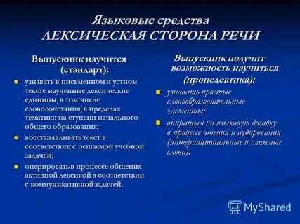 Лексическая сторона речи