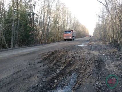 Погода луга ленинградская область на 3 дня