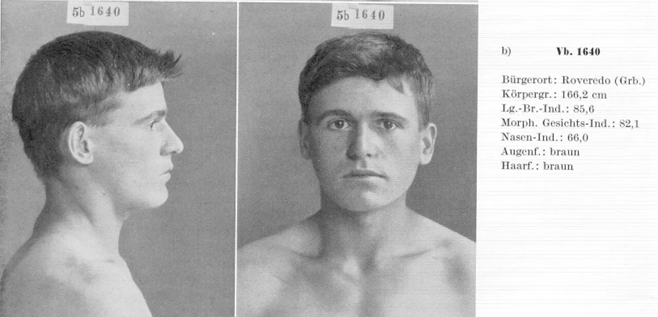 Расовый тип 4. Альпинид раса. альпиниды внешность. немецкий фенотип. латыши антропологический тип.
