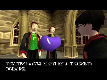 Potter translate