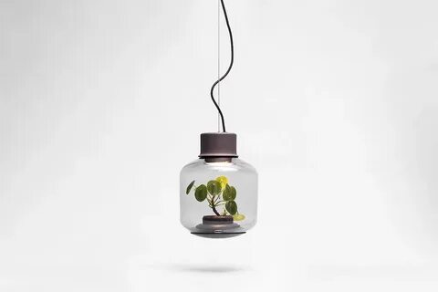Eco светильники
