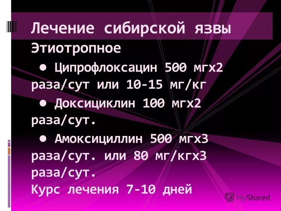генерализованная форма сибирской язвы. лечение сибирью. лечение сибирью. методы профилактики сибирской язвы. профилактика сибирской язвы.
