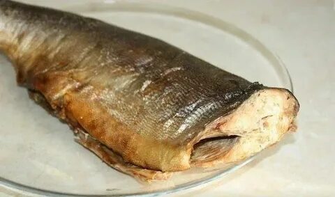 Рецепт вкусной рыбы горячего копчения