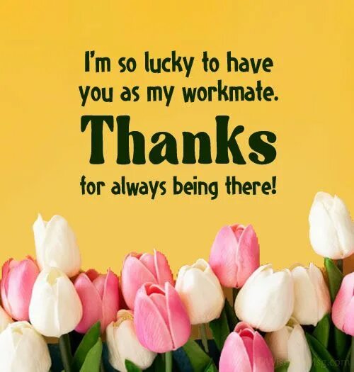 Thank you colleagues. Appreciate your work. Thank you for your message. Thank you из людей. Thank you in advance.