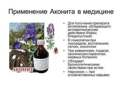 Лечение заболеваний цветов