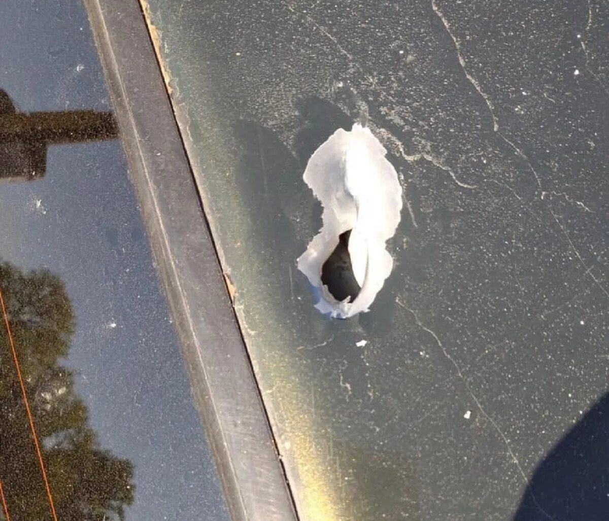 Глушковский район село алексеевка обстрел. Село алексеевка в глушковском районе. Обстрел алексеевки курской области. Глушковский район село алексеевка обстрел. Алексеевка глушковского района.