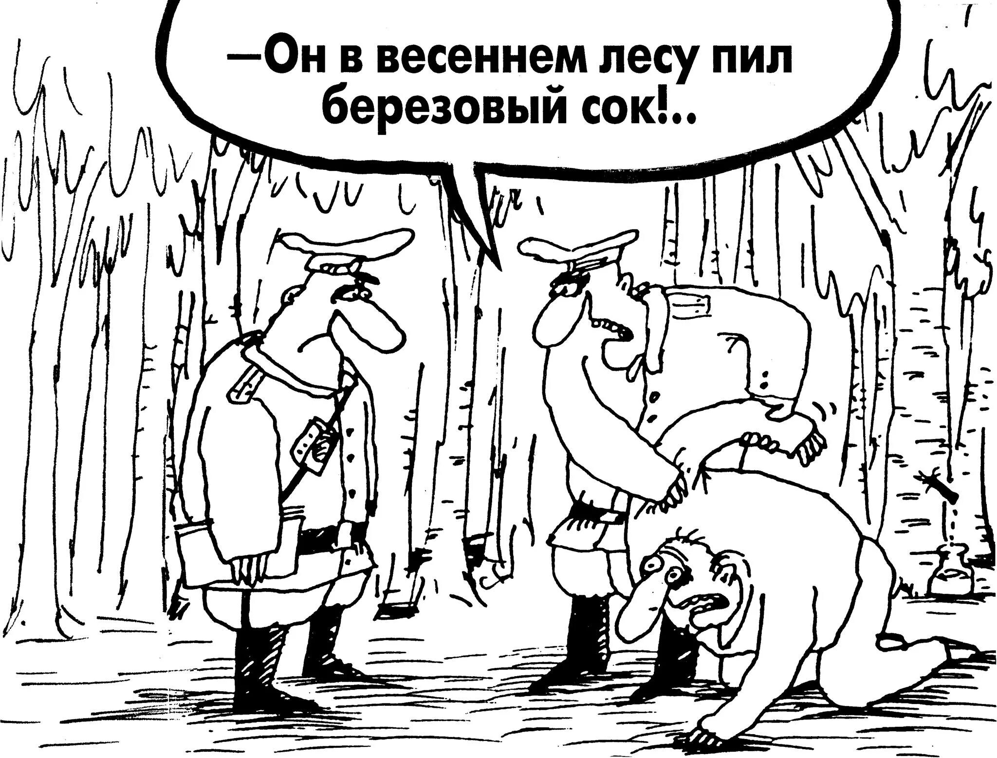 И родина щедро поила меня березовым. Карикатура пьет березовый сок. Березовый сок прикол. Шутка про березовый сок. Карикатуры свежие.