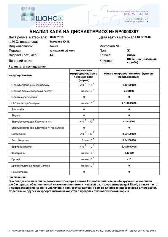 Анализ кала на дисбактериоз норма дети. Анализ кала на дисбактериоз у грудничка расшифровка. Расшифровка анализа на дисбактериоз у ребенка. Исследование фекалий на дисбактериоз у ребенка.