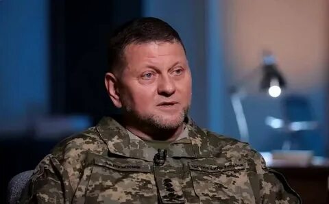 Залужный биография