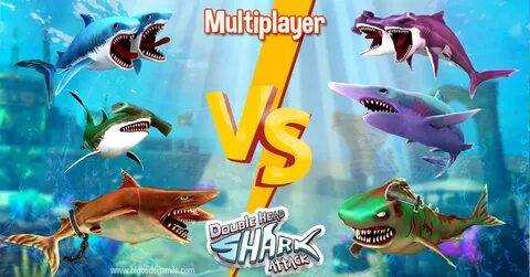 Shark attack by feral frenzy animation