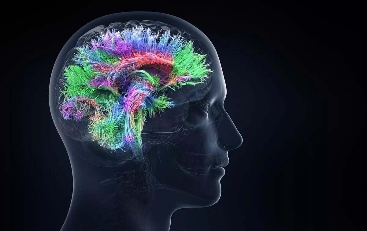 Что такое нейро. Визуализация мозга. Мозговая активность.