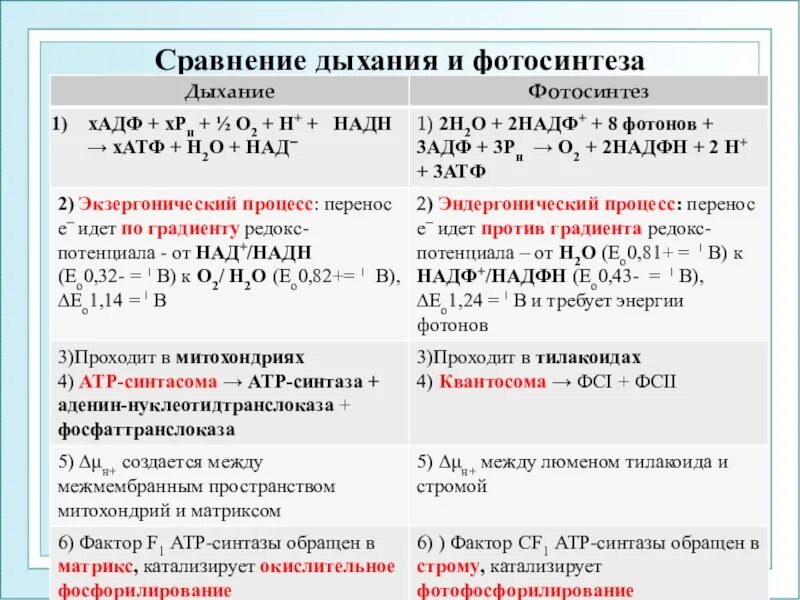 Стравниет фотосинтеза и дыхания. Сравнение фотосинтеза и дыхания. Сравнительная таблица фотосинтеза и дыхания. Сопоставление фотосинтеза и дыхания. Сравнение процессов фотосинтеза и дыхания где происходит