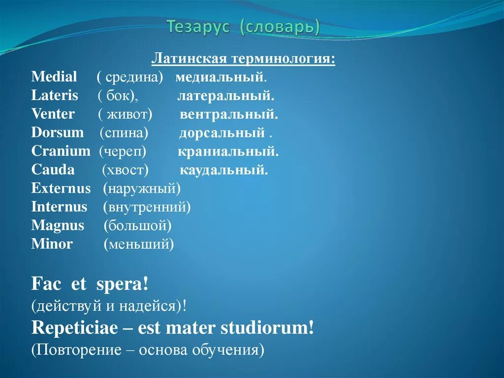 Медицина перевод на русский. Слова на латыни. Латинские слова. Латинский язык слова. Основные слова на латыни.