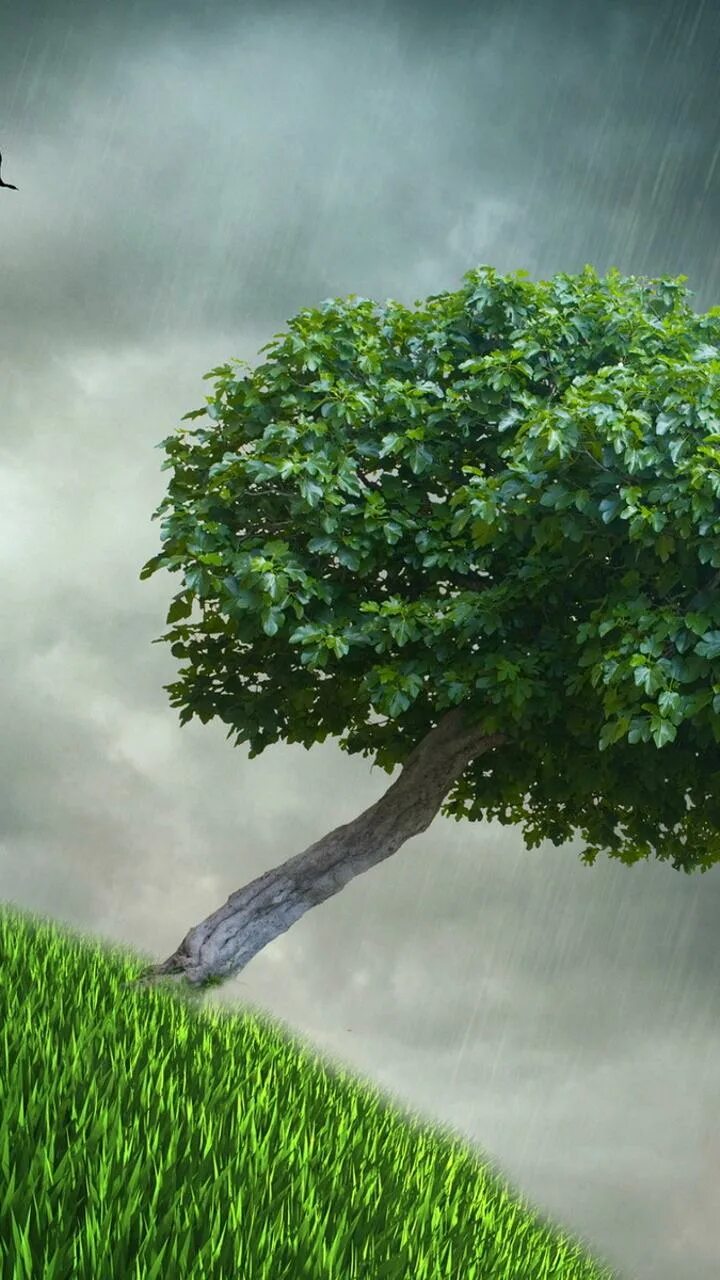 Raining tree