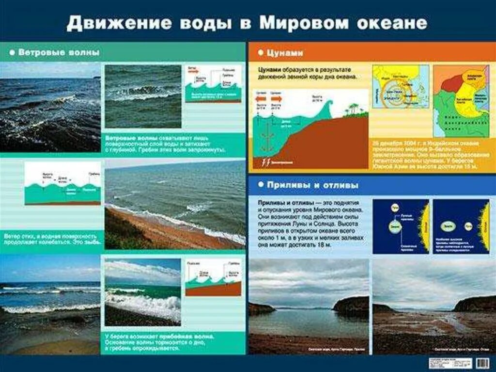 Движение воды в океане. Схема движения воды в океане. Движения вод мирового океана таблица. Движение вод в мировом океане география.