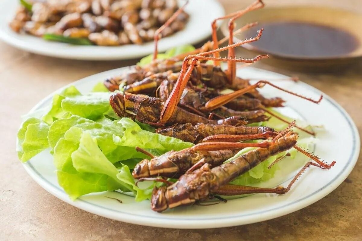 Вкусно жук